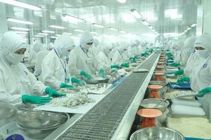 Thực phẩm Sao Ta (FMC): Chiến lược kinh doanh nhằm đón đầu cơ hội từ EVFTA