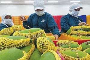 Nông sản Việt Nam cần vượt qua những thách thức để tiếp tục tăng trưởng xuất khẩu
