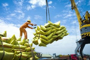 Xây dựng và bảo hộ thương hiệu: Chìa khóa cho nông sản Việt Nam chinh phục thị trường