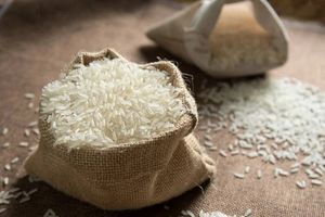 Xuất khẩu gạo trong năm 2023 được dự báo sẽ có nhiều cơ hội đột phá