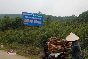 Kiểm tra khu du lịch 233ha ở Hà Nội buộc tháo dỡ 1 nhà vệ sinh
