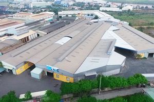 Hà Tĩnh sắp có Nhà máy Sản xuất ván ép xuất khẩu hơn 125 tỷ đồng