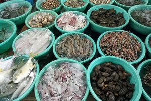 Bản tin tiêu dùng ngày 8/1: Nhiều loại hải sản giảm giá bất ngờ