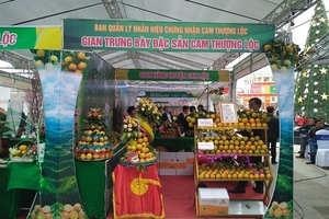 Hà Tĩnh: Tổ chức Lễ hội Cam và các sản phẩm nông nghiệp lần thứ 2