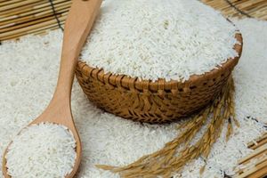 Giá gạo xuất khẩu tăng 7 USD/tấn