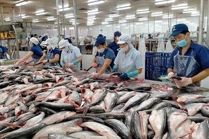 Kim ngạch xuất khẩu cá tra Việt Nam trong năm 2023 dựa báo đạt khoảng 2 tỷ USD