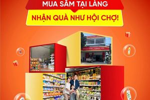 Bách Hóa Làng Tôi: Đồng hành hộ kinh doanh nông thôn chuyển đổi chính quy