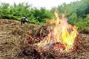 Báo động tình trạng cháy rừng