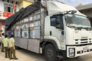 Quảng Bình: Bắt giữ xe tải chở hàng “lậu” trị giá trên 400 triệu đồng