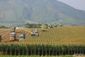 Nghệ An: Thu hút đầu tư vào các dự án nông nghiệp