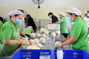 Mỹ mở cửa đối với mặt hàng quả dừa sọ Việt Nam