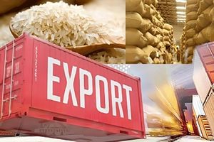 Việt Nam trở thành nước xuất khẩu gạo lớn nhất vào Trung Quốc
