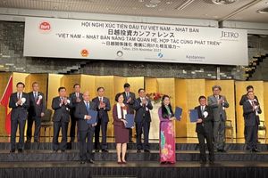 Vinamilk và đối tác Nhật Bản xúc tiến dự án 500 triệu USD đầu tư chăn nuôi bò thịt
