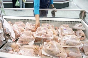 Bộ Công Thương: Nhập khẩu thịt gà không tác động tiêu cực đến ngành chăn nuôi