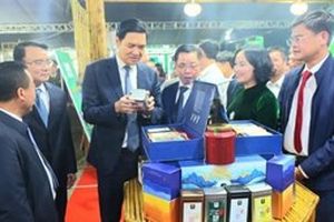 Nghệ An Kết nối cung cầu quảng bá sản phẩm nông nghiệp 2025