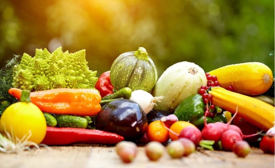 Nông Sản Là Gì Và Đặc Điểm Của Mặt Hàng Nông Sản | CNSG