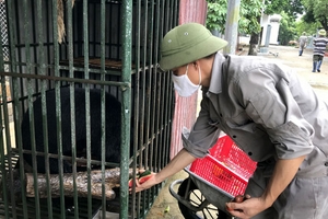 Cứu hộ động vật hoang dã: Nghề lắm gian nan