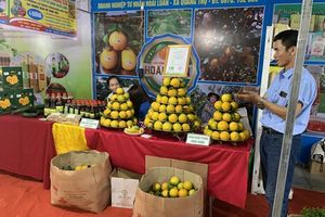 Lễ hội cam và các sản phẩm nông nghiệp Hà Tĩnh lần thứ 6
