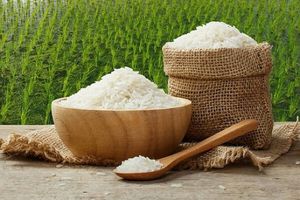 Giá gạo xuất khẩu tăng 23 USD/tấn