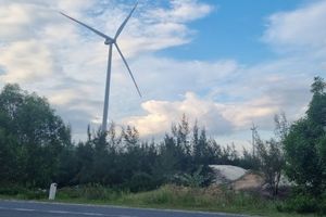 Quảng Trị: Tập trung hỗ trợ thực hiện các dự án điện gió