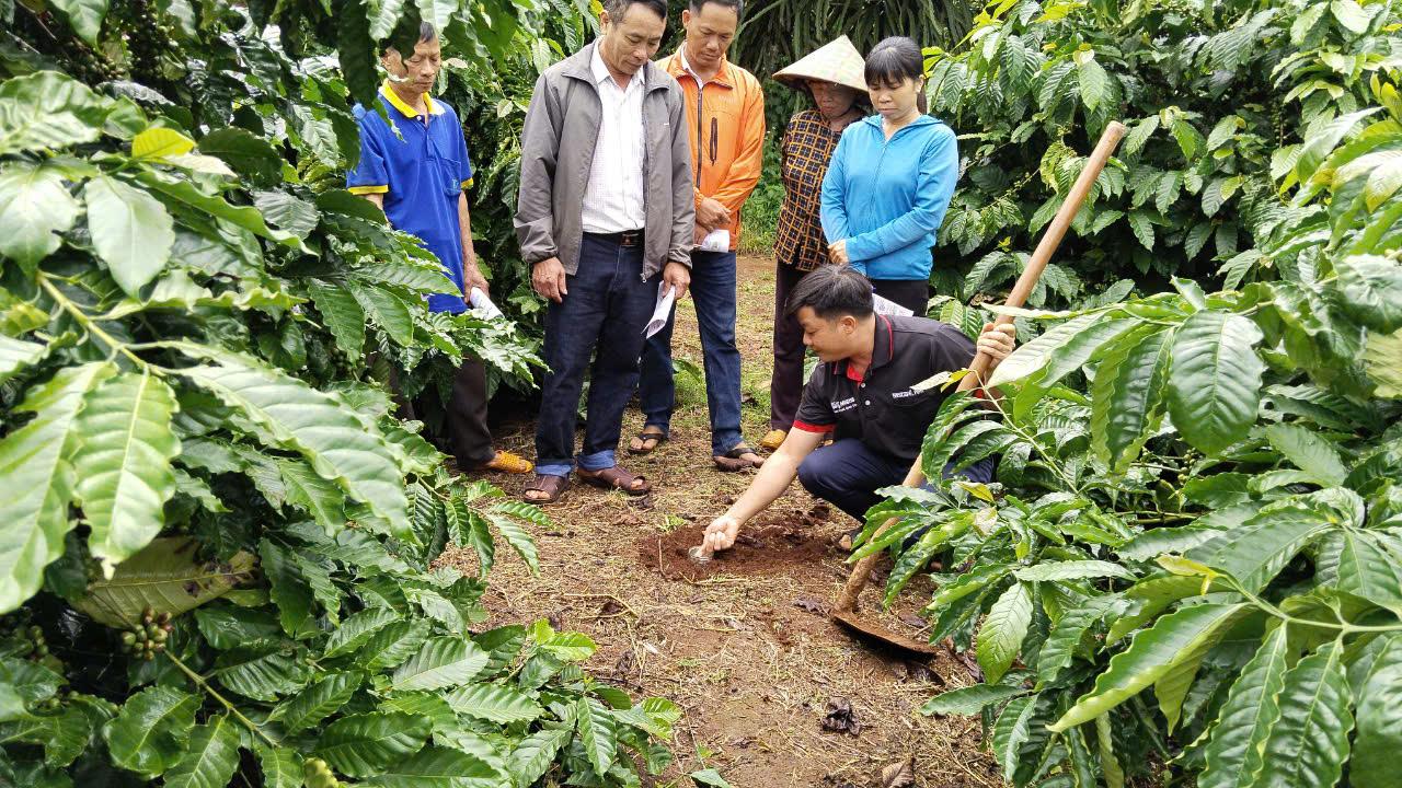 A group of people in a garden

AI-generated content may be incorrect.