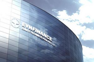 EVN Finance dự kiến phát hành 19,8 triệu cổ phiếu chia cổ tức năm 2020