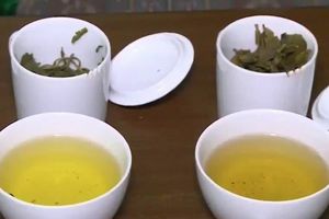 Cách phân biệt trà bẩn