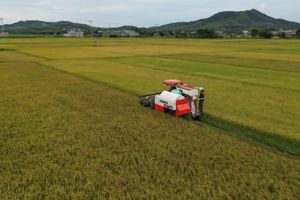 Từng bước xây dựng nền nông nghiệp hiện đại, bền vững tại Hà Tĩnh