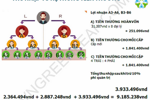 Cảnh báo kinh doanh đa cấp trái phép trên hệ thống greenleafgroup.cn