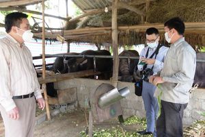 Hiệu quả hoạt động ủy thác vốn vay của Hội Nông dân huyện Lâm Bình