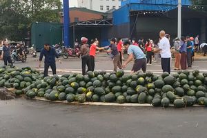 Nghệ An: Giải cứu hàng tấn dưa hấu giúp tài xế xe tải gặp nạn