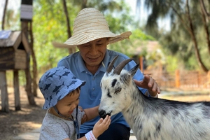 Khám phá FLC Zoo Safari Park – vườn thú bán hoang dã độc đáo tại Quy Nhơn