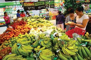 Thị trường bán lẻ Việt Nam: Tiềm năng phục hồi trong nửa cuối năm 2023