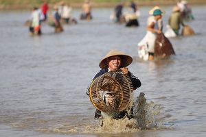 Hà Tĩnh: Đông đảo các "nơm thủ” cùng lao xuống hồ thủy lợi bắt cá