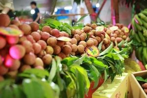 Nông sản Việt Nam được ưa chuộng tại các nước Châu Á