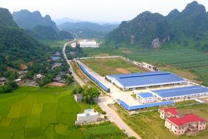 Tuyên Quang: Khảo sát xây dựng cụm công nghiệp huyện Lâm Bình