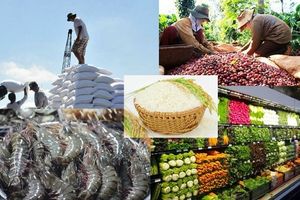 Bản tin nông sản 27/7: Nâng cao năng lực cạnh tranh cho nông sản Việt