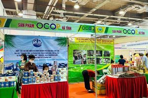 6 sản phẩm OCOP của Hà Tĩnh đã tiếp cận được với các thị trường quốc tế