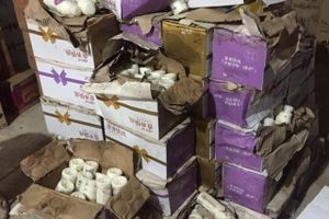Thu giữ 10 ngàn chai sữa chua Trung Quốc không có giấy tờ tại Hà Nội