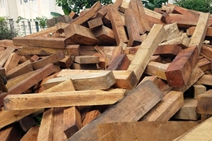 Vụ gỗ lậu ở huyện Mang Yang: Tra số điện thoại xác định đối tượng đe dọa cán bộ bảo vệ rừng