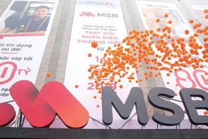 MSB khẳng định việc MSB mua 500 tỉ đồng trái phiếu của OCI là hoàn toàn hợp pháp