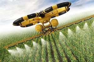Bản tin nông sản 6/8: Kỳ vọng đột phá với nông nghiệp công nghệ cao