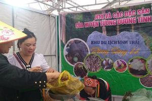 Lan tỏa hương sắc vùng cao tại Hội chợ Xúc tiến Công thương Nghệ An 2025