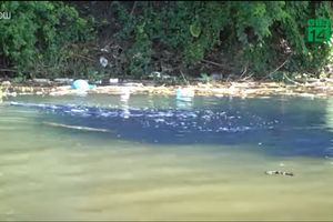 Hà Nội: Xả thải “đầu độc” nhuộm đen sông Hồng
