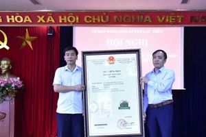 Hòa Bình: Huyện Lạc Thủy phát triển nâng cao thương hiệu chè Sông Bôi