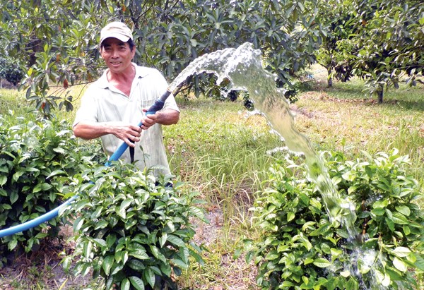 Một trong những yếu tố làm nên thương hiệu trà Phú Hội là sản vật địa phương chính ở mạch nước ngầm Mạch Bà dùng để tưới tiêu cho cây trà.