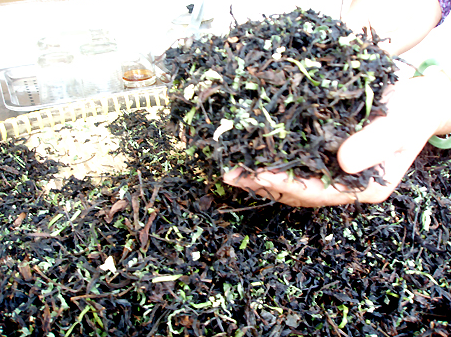 Chính sự chế biến dân dã đã làm nên thương hiệu trà Phú Hội.