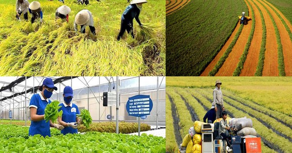 Các giải pháp hỗ trợ nông dân, phát triển nông nghiệp