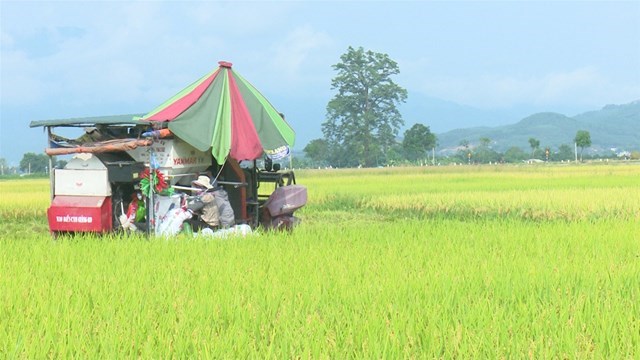 Mô hình áp dựng cơ giới hóa trong thu hoạch tại xã Đoan Hạ.