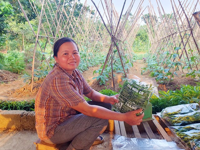 Chị Hoàng Bích Thùy – Tổ trưởng Tổ hợp tác rau hữu cơ xóm Gừa, xã Cư Yên chia sẻ với Phóng viên về mô hình sản xuất rau hữu cơ theo hướng phát triển nông nghiệp bền vững của Tổ hợp tác (ảnh PV).